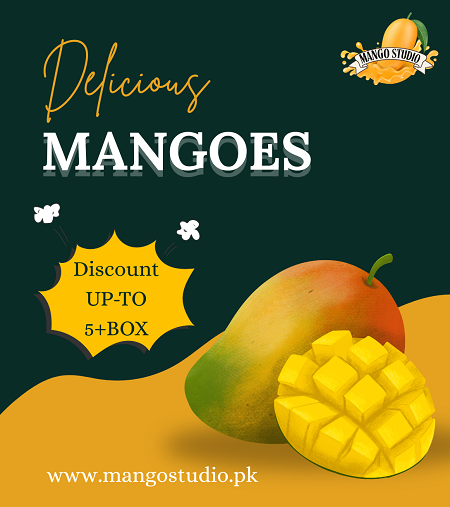 Mango Banner 348×393