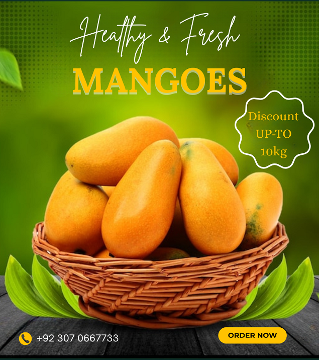 Mango Banner 348×393 (2)