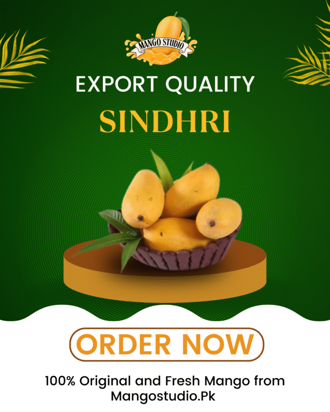Sindhri Premium Quality