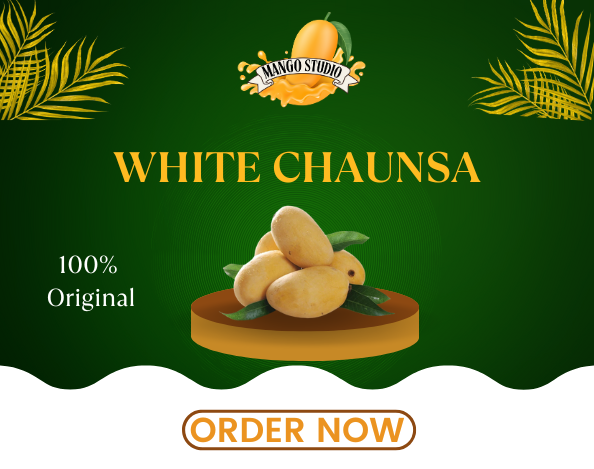 White Chaunsa Primum